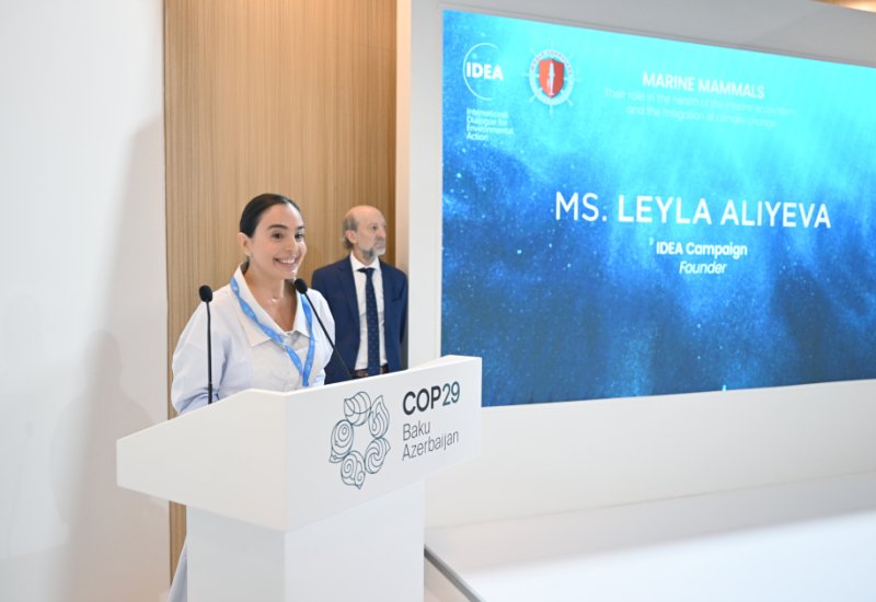 Vice-President of Heydar Aliyev Foundation Leyla Aliyeva participates in panel discussions on marine mammals within COP29 (PHOTO)