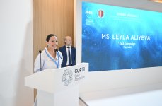 Heydər Əliyev Fondunun vitse-prezidenti Leyla Əliyeva COP29 çərçivəsində dəniz canlılarına dair panel müzakirələrində iştirak edib (FOTO)