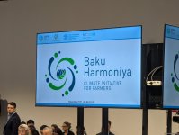 В рамках COP29 состоялось мероприятие по запуску климатической инициативы "Baku Harmoniya" (ФОТО)