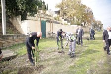 Nabranda səyyar qəbul və ağacəkmə aksiyası keçirilib (FOTO)