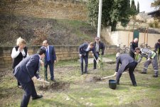 Nabranda səyyar qəbul və ağacəkmə aksiyası keçirilib (FOTO)