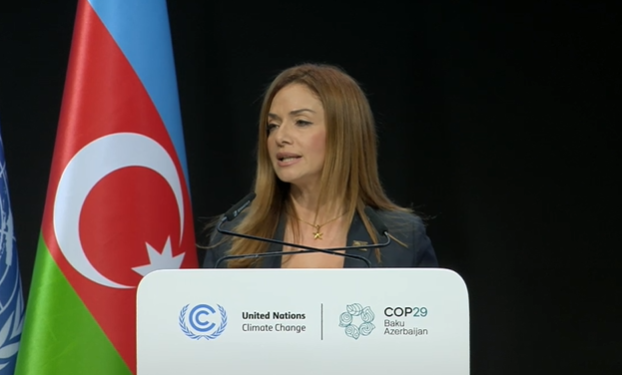 Malta urges ambitious climate action and strong finance framework at COP29