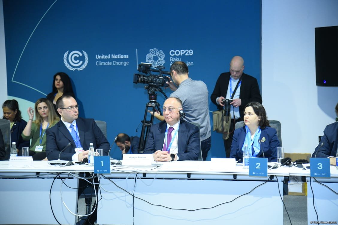 COP29