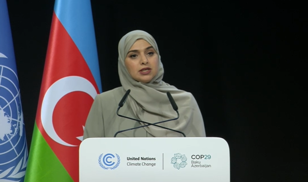 UAE committed to continue combating climate change - minister