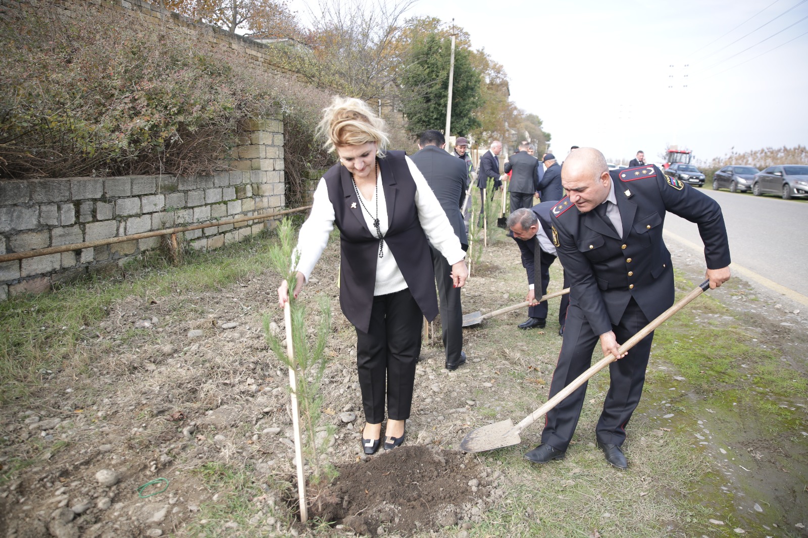 Nabranda səyyar qəbul və ağacəkmə aksiyası keçirilib (FOTO)