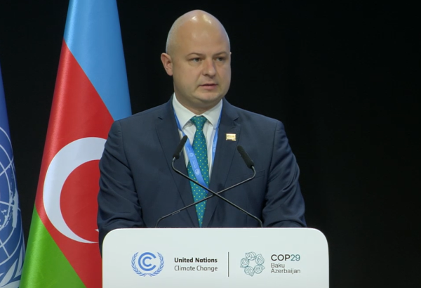 Lithuania to achieve 100% renewable energy in electricity by 2030 - minister at COP29