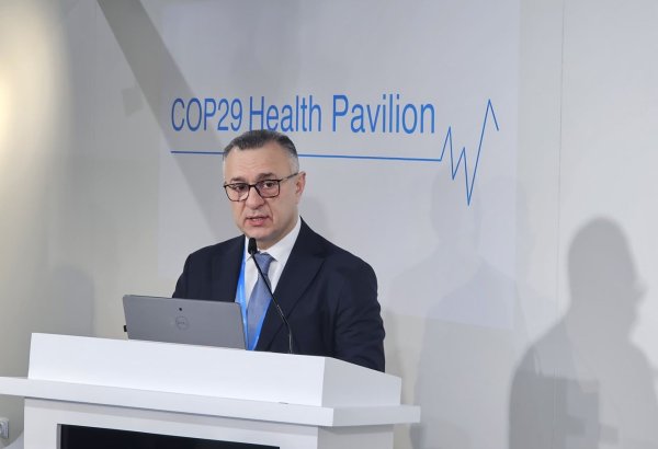 Climate agenda stresses first-ever holistic approach to human dev't - Azerbaijani minister