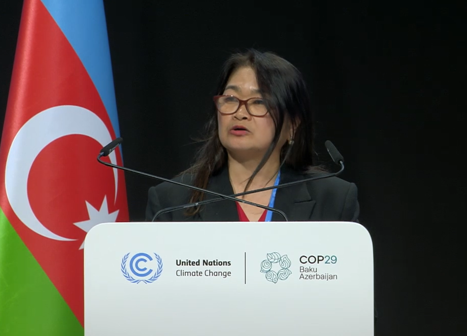 ASEAN urges global support for biodiversity in climate action at COP29