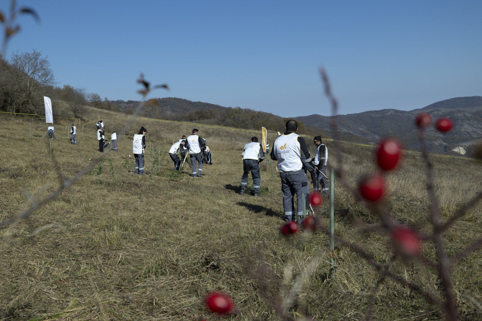 "AzerGold" QSC "Daşkəsən rayonunda bitən nadir bitkilərin reintroduksiyası" layihəsini uğurla icra edib (FOTO)