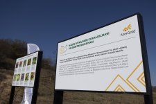 AzerGold CJSC successfully realized the project on Reintroduction of Rare Plants Growing in Dashkasan Region (PHOTO)