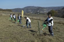 AzerGold CJSC successfully realized the project on Reintroduction of Rare Plants Growing in Dashkasan Region (PHOTO)