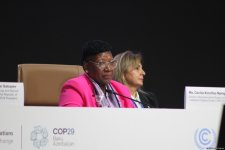 На COP29 состоялась церемония открытия многоуровневых и многосекторальных мероприятий по борьбе с изменением климата (ФОТО)