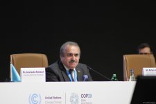 На COP29 состоялась церемония открытия многоуровневых и многосекторальных мероприятий по борьбе с изменением климата (ФОТО)