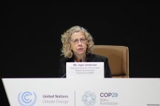 COP29-da çoxsəviyyəli və çoxsektorlu iqlim fəaliyyətinə dair  yüksək səviyyəli açılış mərasimi keçirilib (FOTO)