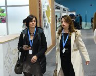 COP29-un