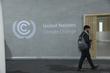 COP29-un