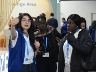 COP29-un