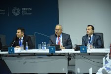 В рамках COP29 состоялась панельная дискуссия по устойчивой взаимосвязанности (ФОТО)