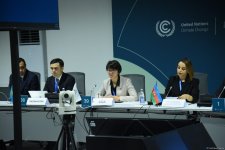 В рамках COP29 состоялась панельная дискуссия по устойчивой взаимосвязанности (ФОТО)