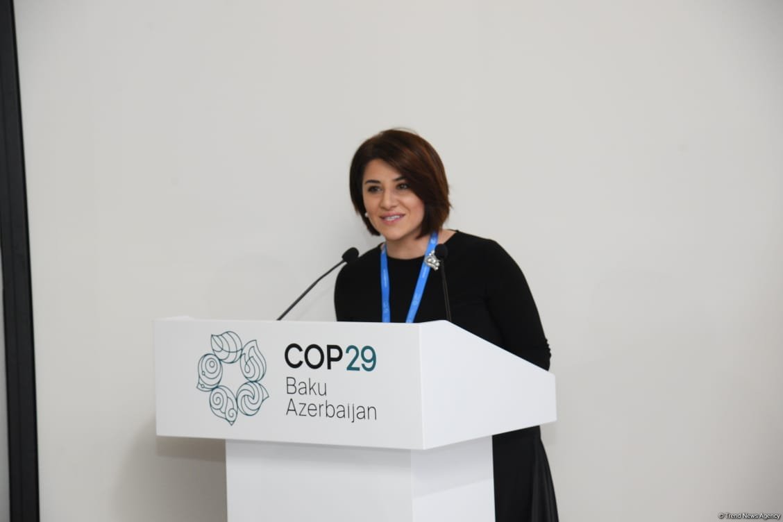 COP29 çərçivəsində “Gələcəyə səfər: dayanıqlı sabah üçün dənizçilikdə dekarbonizasiya” mövzusunda müzakirələr aparılıb (FOTO)