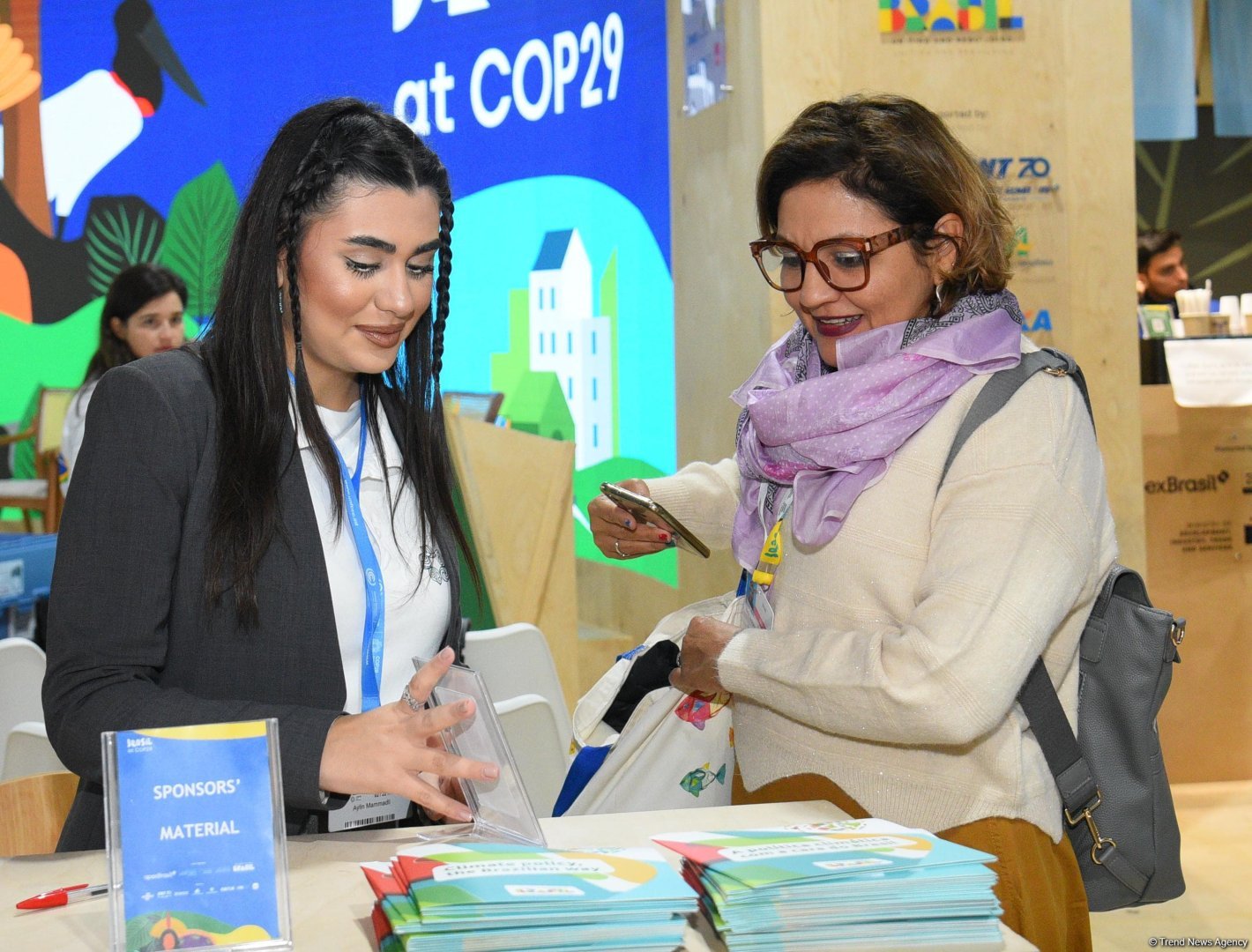 COP29-un