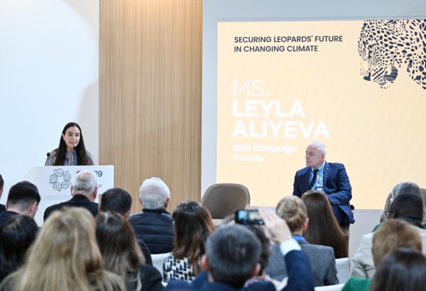 Vice-President of Heydar Aliyev Foundation Leyla Aliyeva addresses COP29 panel on leopard conservation (PHOTO)