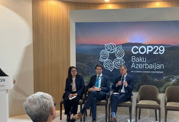 COP29 in Azerbaijan debates climate change and vibrant dance of biodiversity (PHOTO)