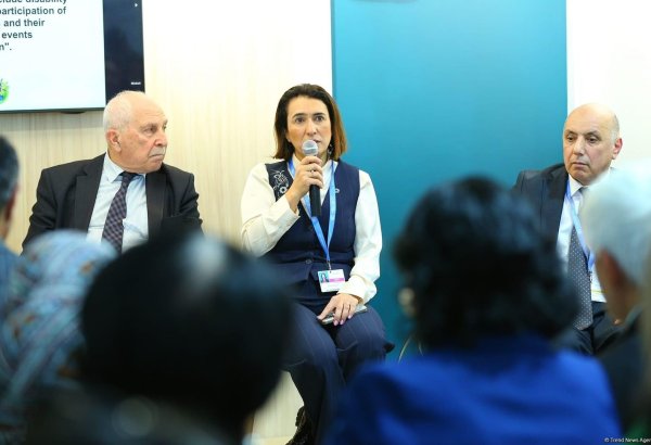 COP29 holds event focused on fostering inclusivity in pursuit of ecosystem (PHOTO)