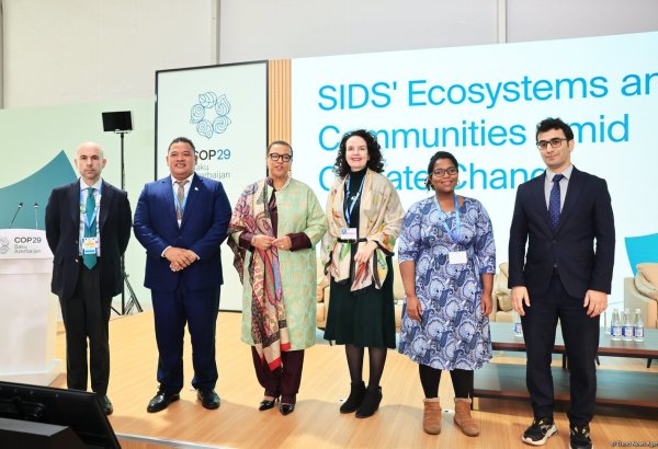 COP29 Green Zone hosts session on SIDS’ Ecosystems and Communities Amid Climate Change (PHOTO)