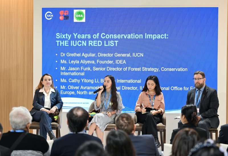 Vice-President of Heydar Aliyev Foundation Leyla Aliyeva participates in COP29 panel on rare species сonservation (PHOTO)