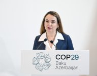 Heydər Əliyev Fondunun vitse-prezidenti Leyla Əliyeva COP29 çərçivəsində nadir canlıların mühafizəsinə həsr olunan panel müzakirələrində iştirak edib (FOTO)