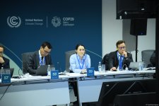 COP29 çərçivəsində biomüxtəlifliyin, su ehtiyatlarının və iqlimin qarşılıqlı əlaqəsi mövzusunda yüksək səviyyəli dəyirmi masa keçirilib (FOTO) (ƏLAVƏ EDİLİB)