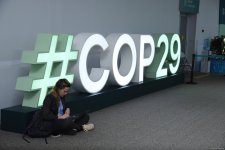 COP29-un