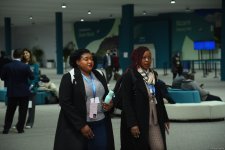 COP29-un