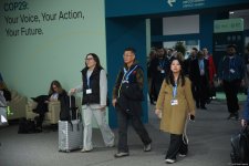 COP29-un