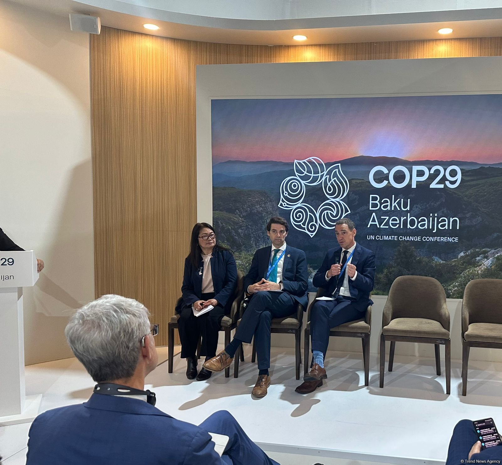 COP29-da iqlim dəyişikliyi və biomüxtəliflik arasında əlaqə məsələləri müzakirə olunub (FOTO)