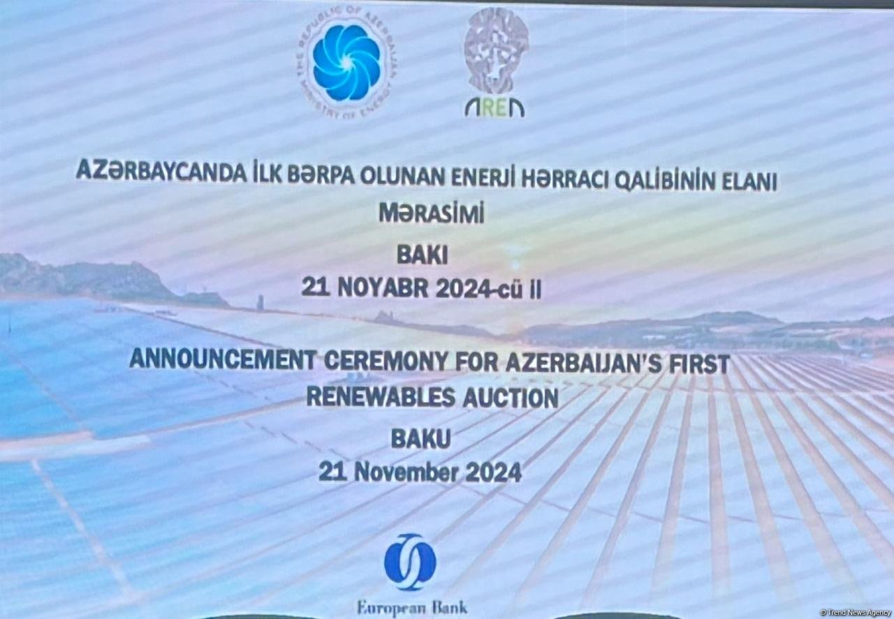 COP29 çərçivəsində ilk bərpa olunan enerji hərracının qalibi elan edilib