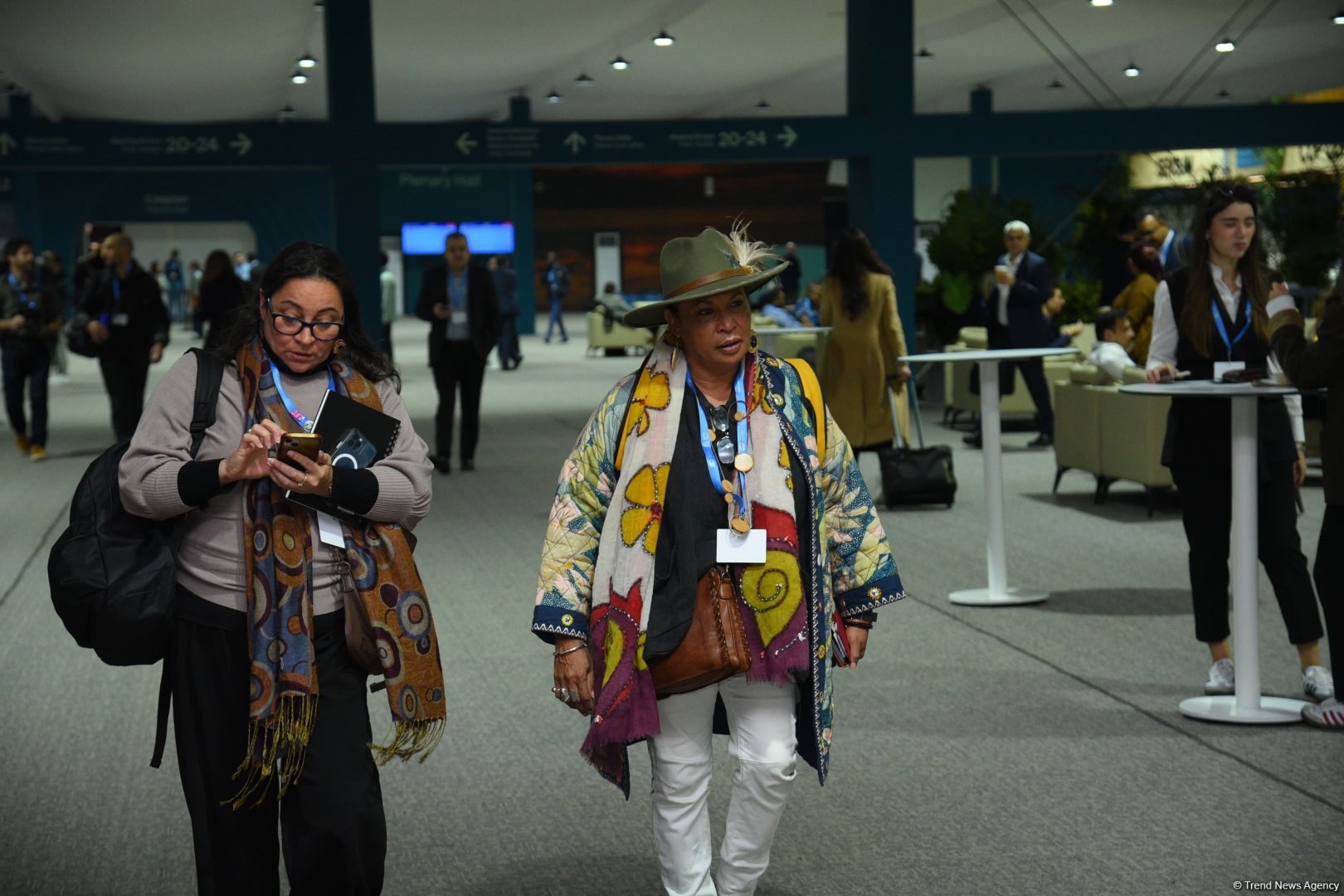 COP29-un