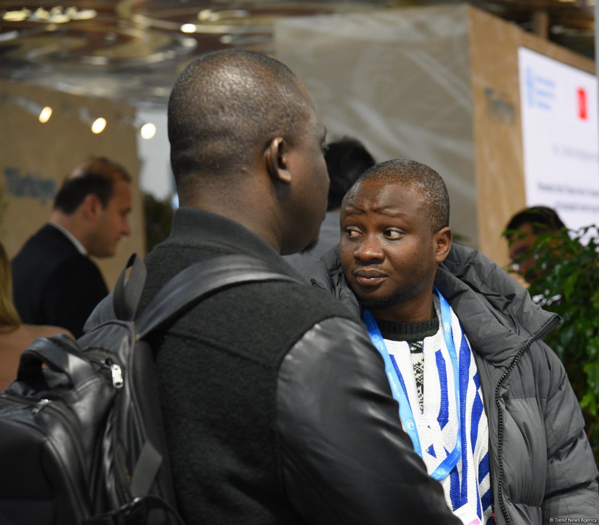 COP29-un