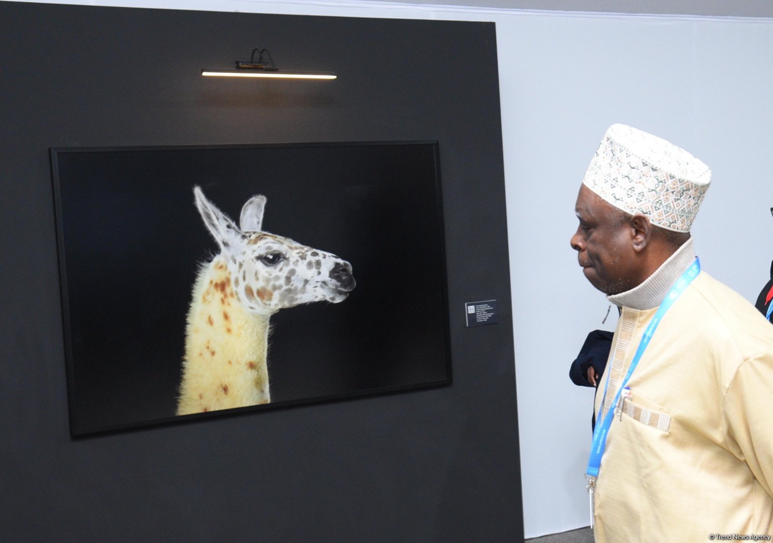 COP29-un onbirinci günündən FOTOREPORTAJ