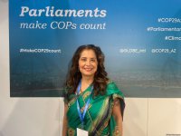 COP for Hope: На COP29 ожидается прорыв в климатической дипломатии — главный исполнительный директор GLOBE (Эксклюзивное интервью) (ФОТО)