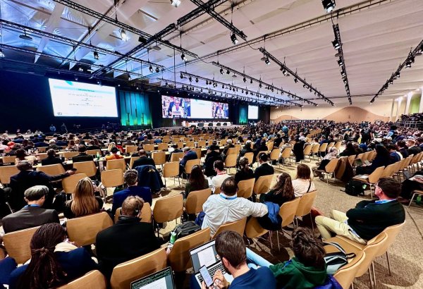 COP29-un gözəl təşkilinə görə Azərbaycana minnətdarlıq ifadə olunan qətnamə qəbul edilib