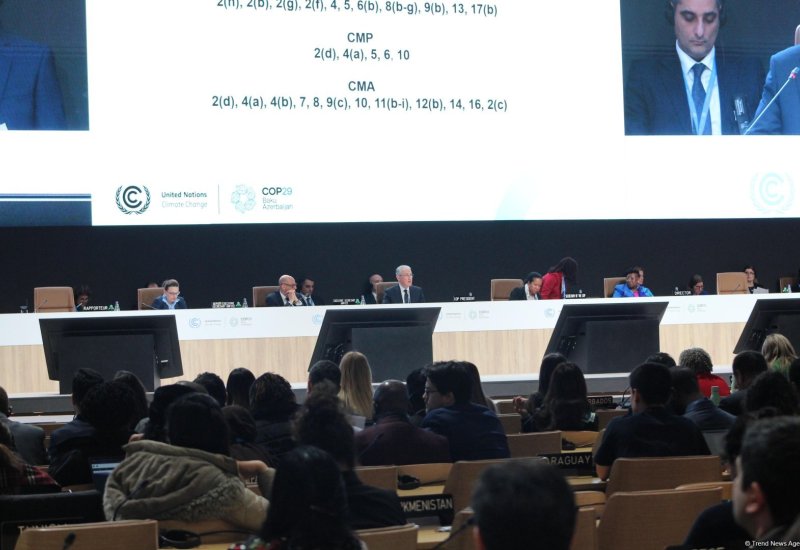 COP29 achieves full operationalisation of Article 6 of Paris Agreement