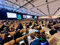 COP29 сlosing plenary held in Baku (PHOTO/VIDEO)