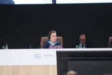 COP29 сlosing plenary held in Baku (PHOTO/VIDEO)