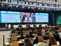 COP29 сlosing plenary held in Baku (PHOTO/VIDEO)