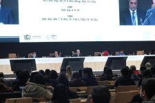 COP29 сlosing plenary held in Baku (PHOTO/VIDEO)