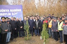 Xaçmazda YAP-ın 32-ci ildönümü münasibətilə ağacəkmə aksiyası təşkil olunub (FOTO)