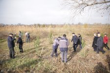 Xaçmazda YAP-ın 32-ci ildönümü münasibətilə ağacəkmə aksiyası təşkil olunub (FOTO)