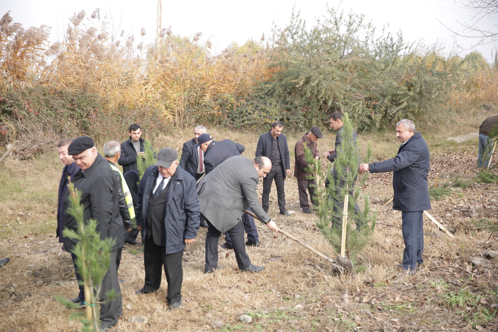 Xaçmazda YAP-ın 32-ci ildönümü münasibətilə ağacəkmə aksiyası təşkil olunub (FOTO)